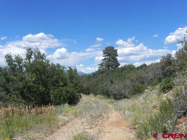 8587 County Road 141