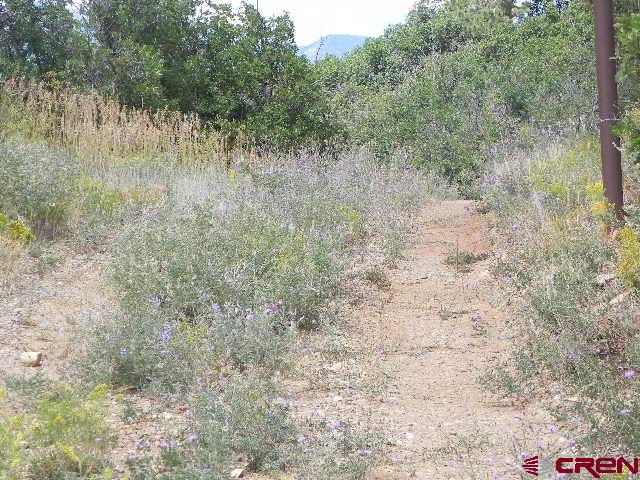 8587 County Road 141