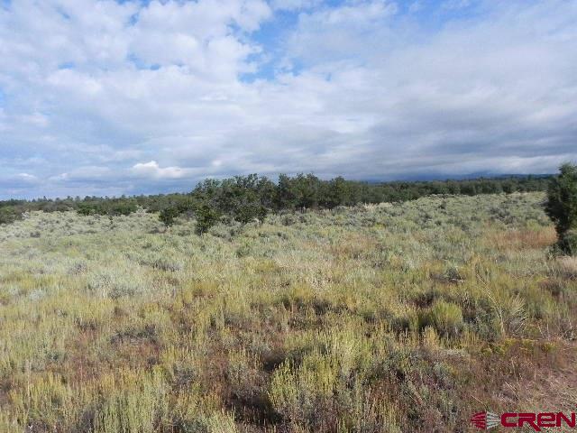 8587 County Road 141