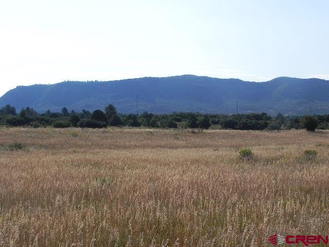 8587 County Road 141