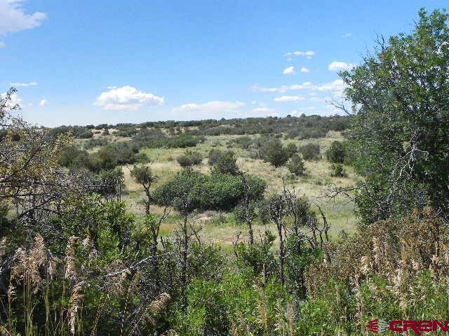 8587 County Road 141