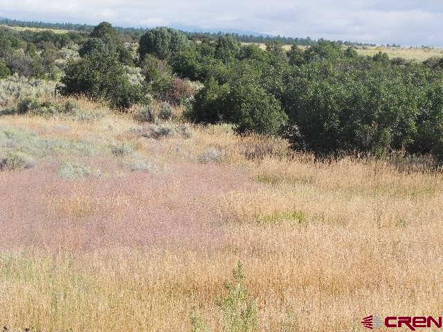 8587 County Road 141