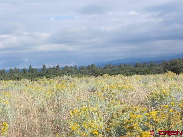 8587 County Road 141