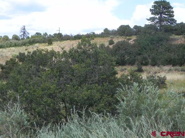 8587 County Road 141