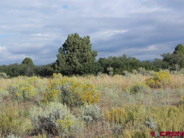 8587 County Road 141