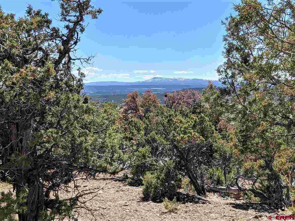 Parcel 1 Uncompahgre Road
