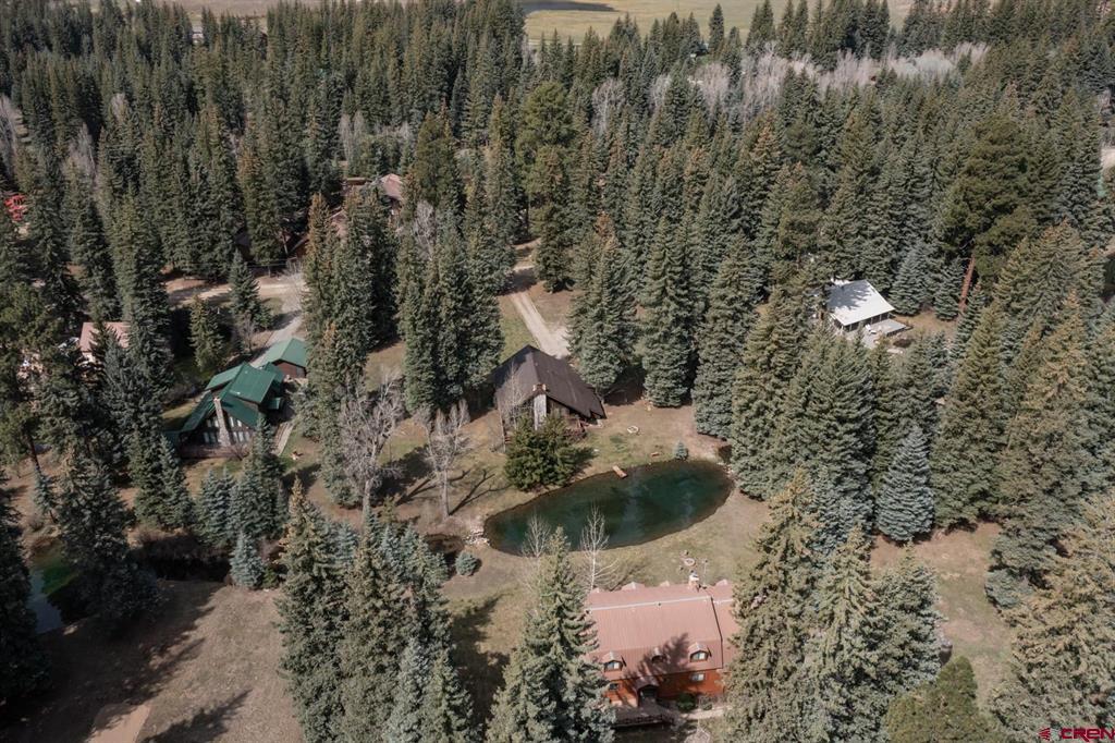218 Mushroom Drive