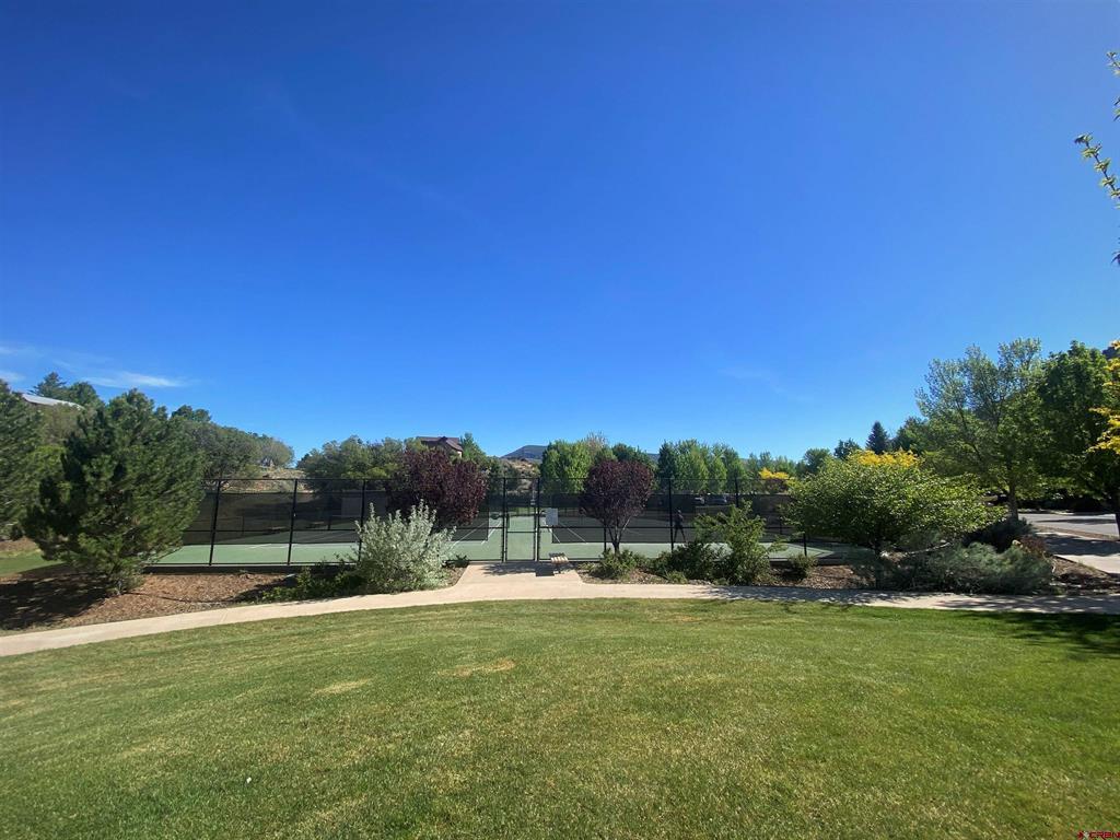 15 Ophir Drive