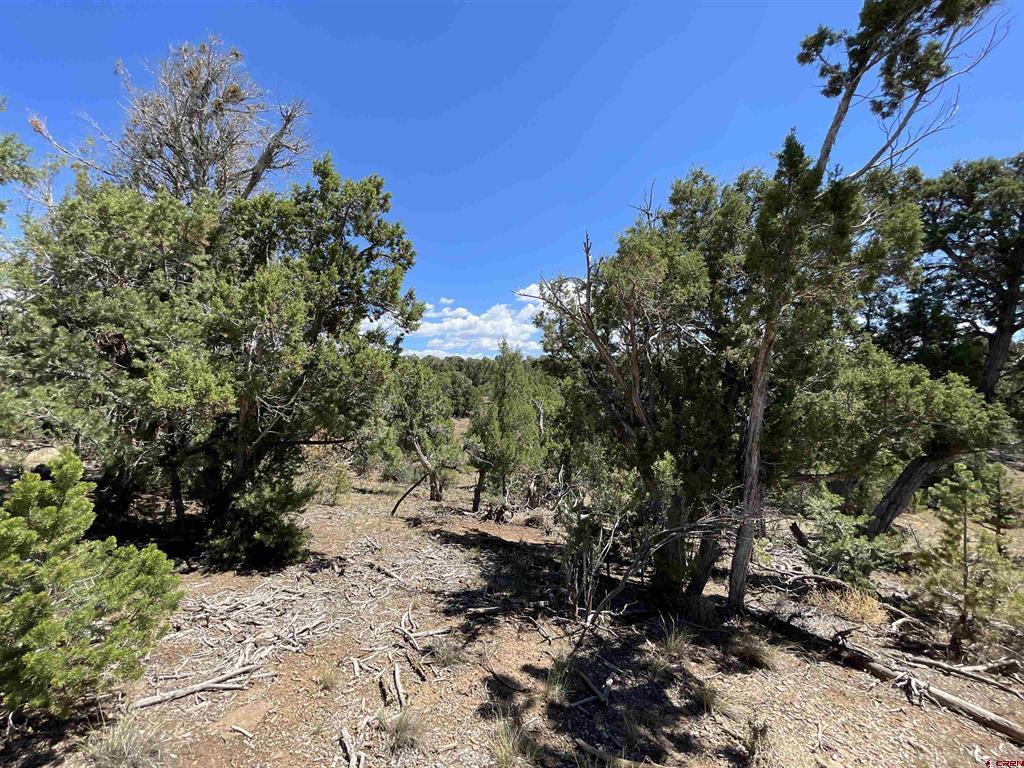 Lot 22 Road 35.4