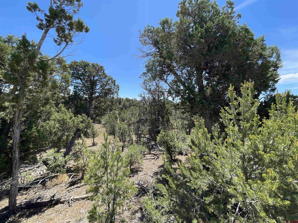 Lot 22 Road 35.4