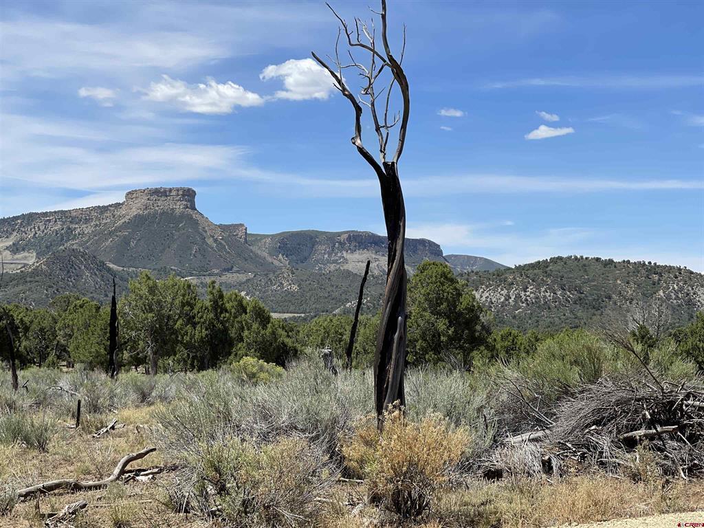 Lot 22 Road 35.4