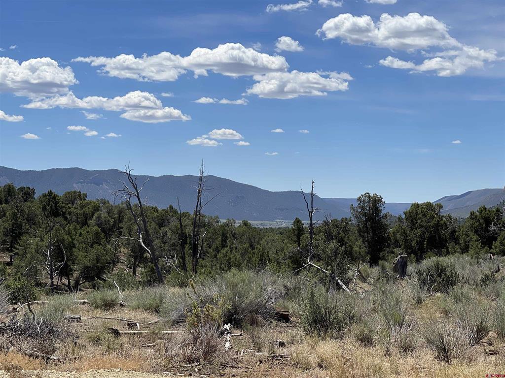 Lot 22 Road 35.4