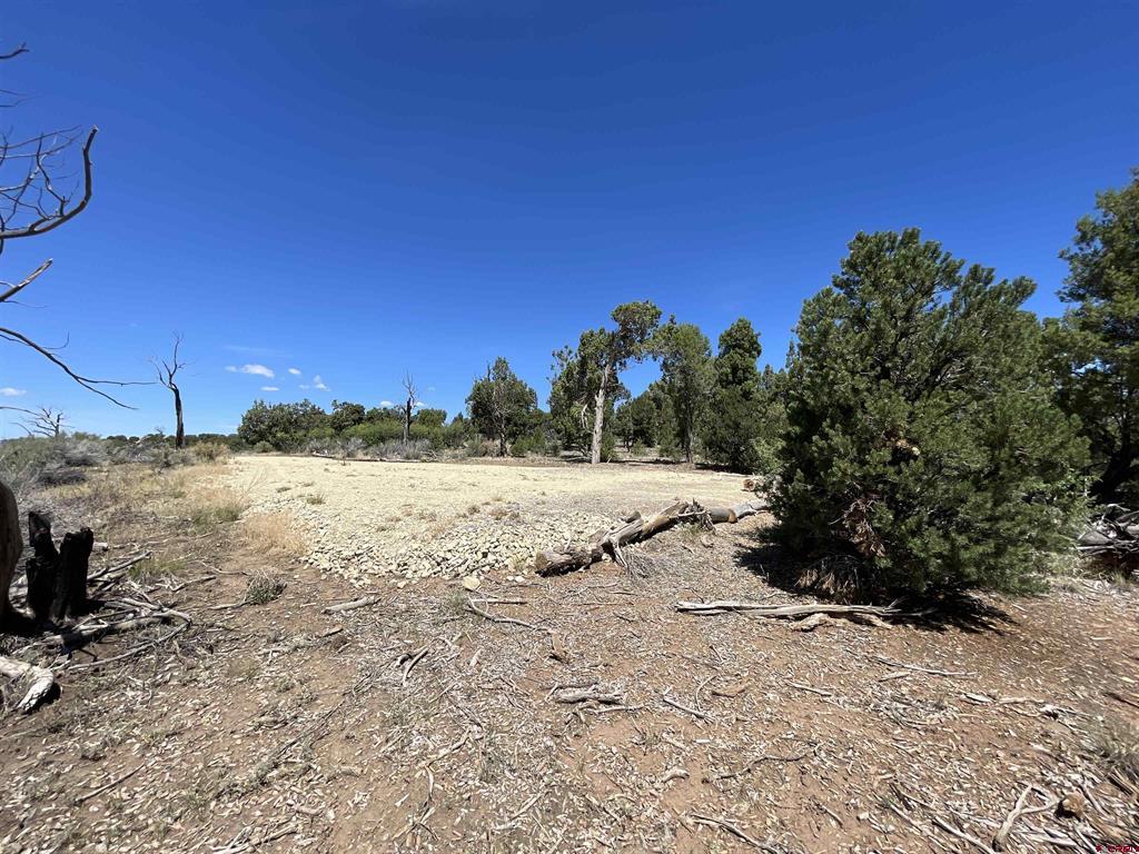 Lot 22 Road 35.4