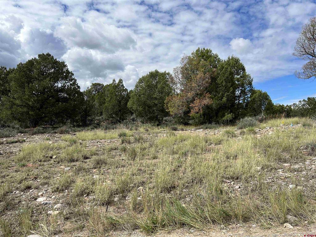 TBD W County Road 318 Highway