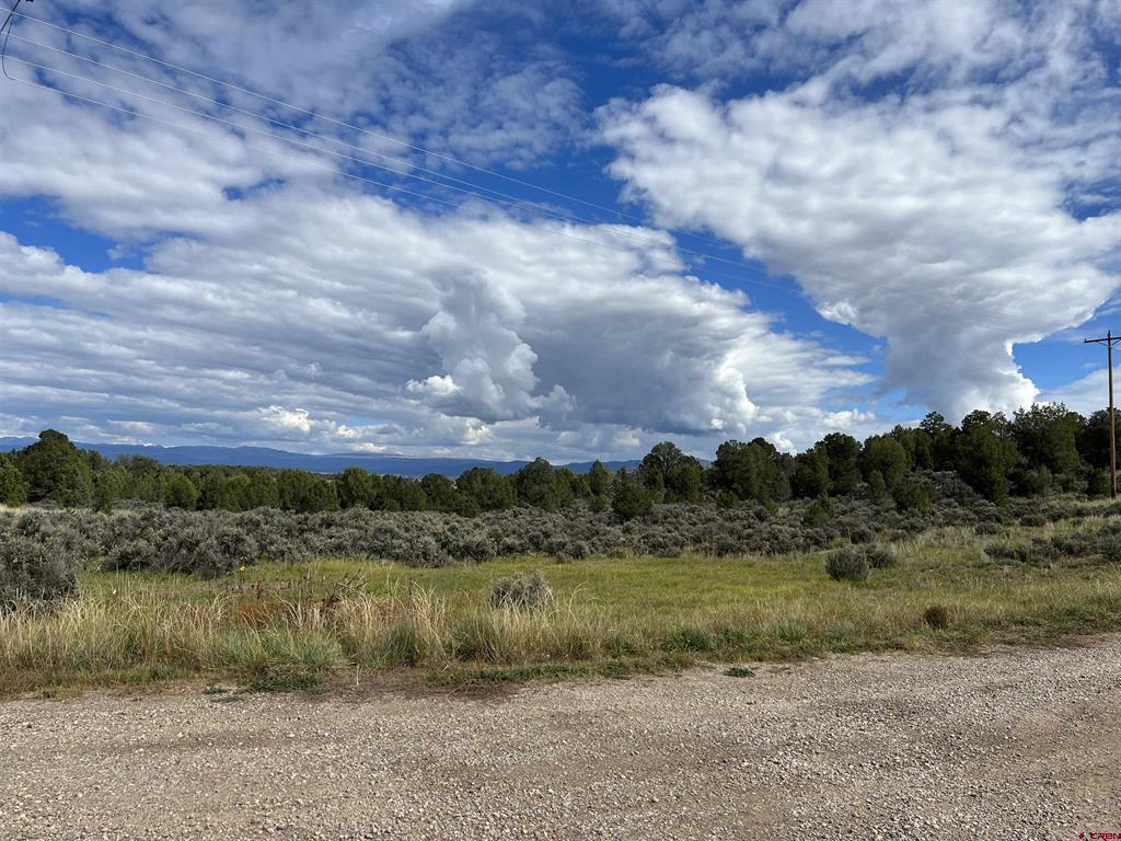 TBD W County Road 318 Highway