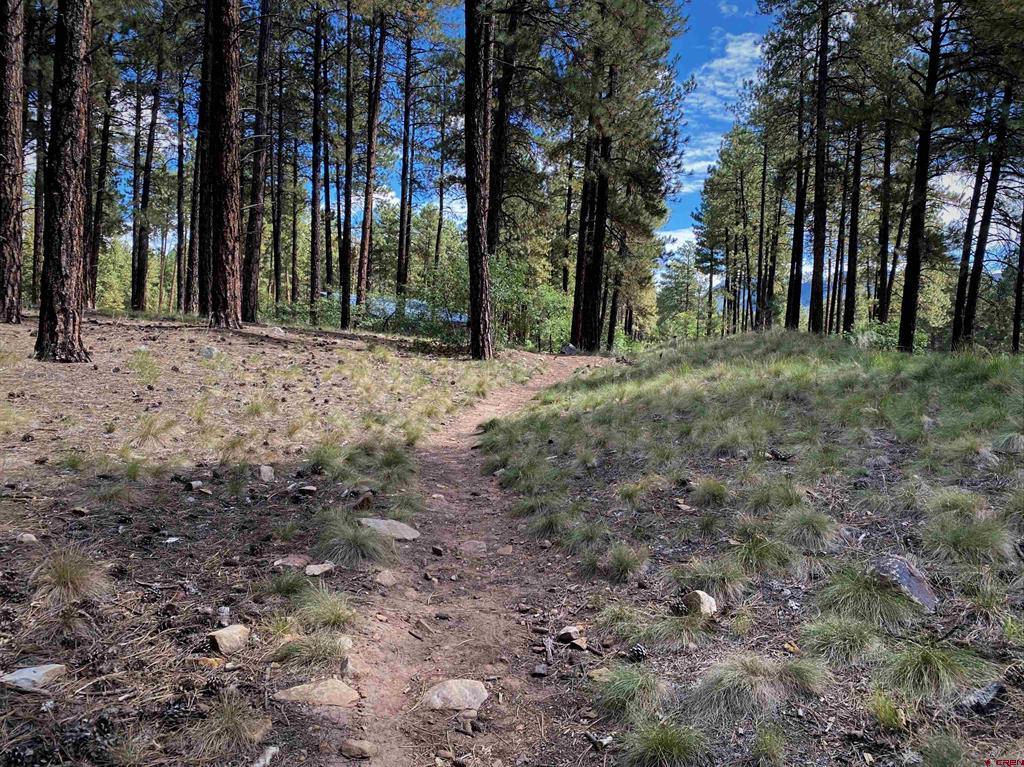 25 Window Lake Trail