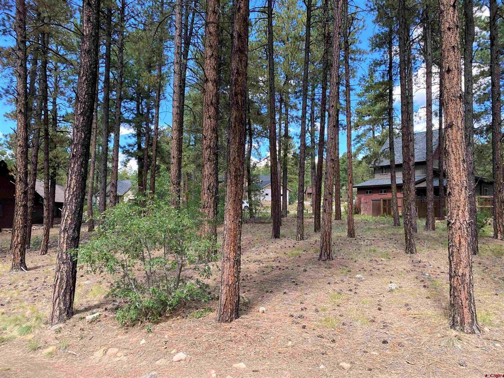 25 Window Lake Trail