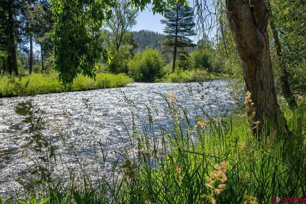 320 Pine River Ranch Circle