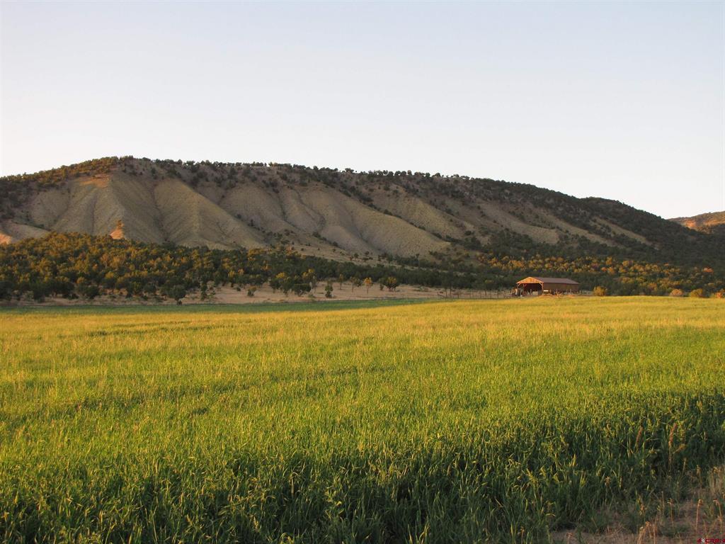 TBD Uncompahgre Road