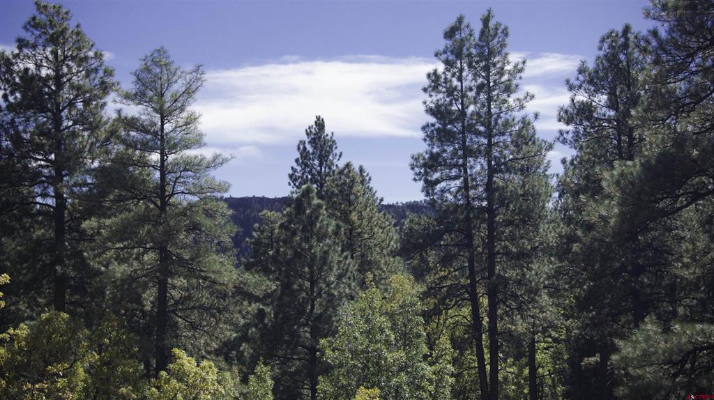 49 Terra Blue Way