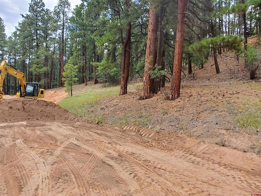 162, 190 Snowbird Court