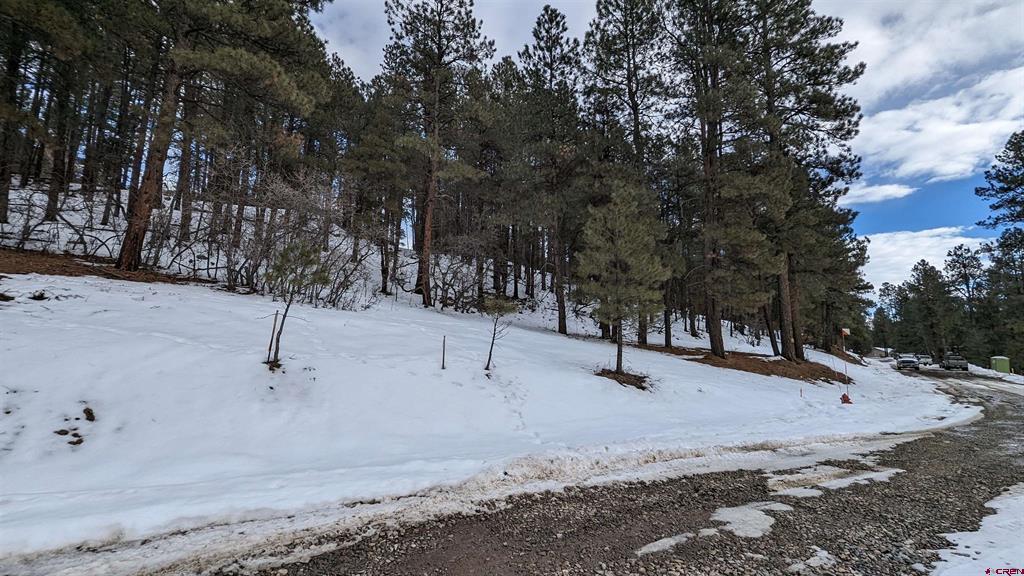 162, 190 Snowbird Court