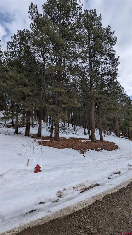 162, 190 Snowbird Court