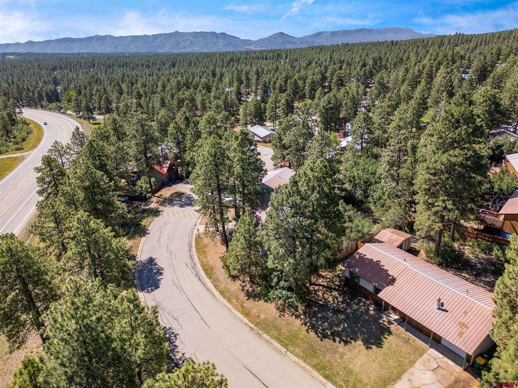 133 Forest Ridge Drive