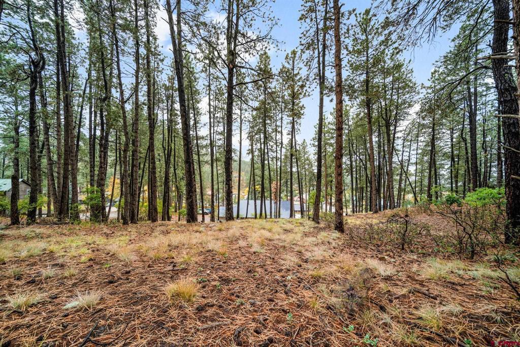 1511 Pine Valley Road