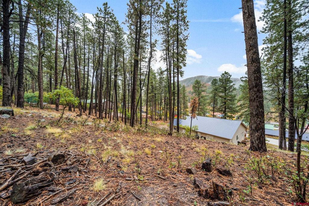 1511 Pine Valley Road