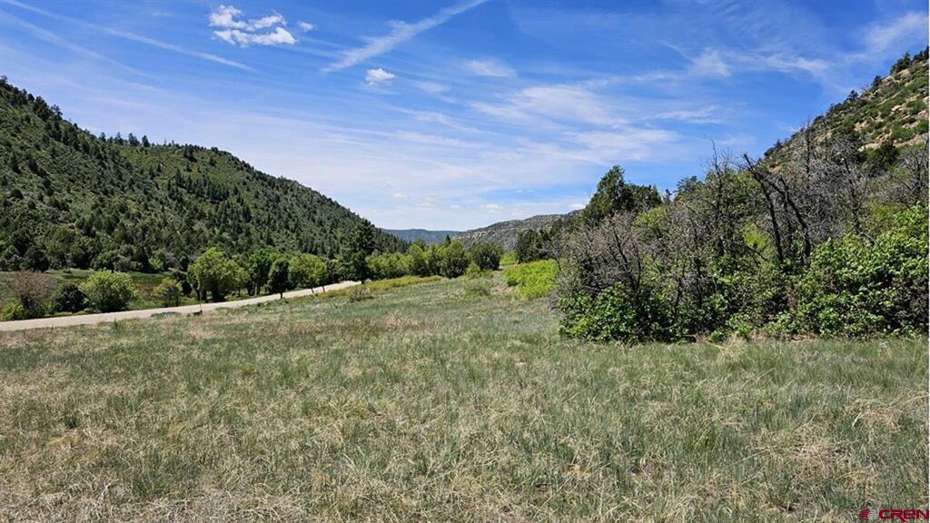 5565 Road 46