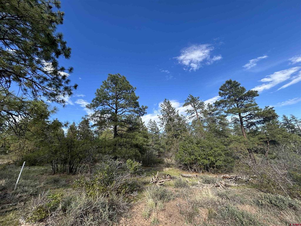 1333 Doc Adams Road