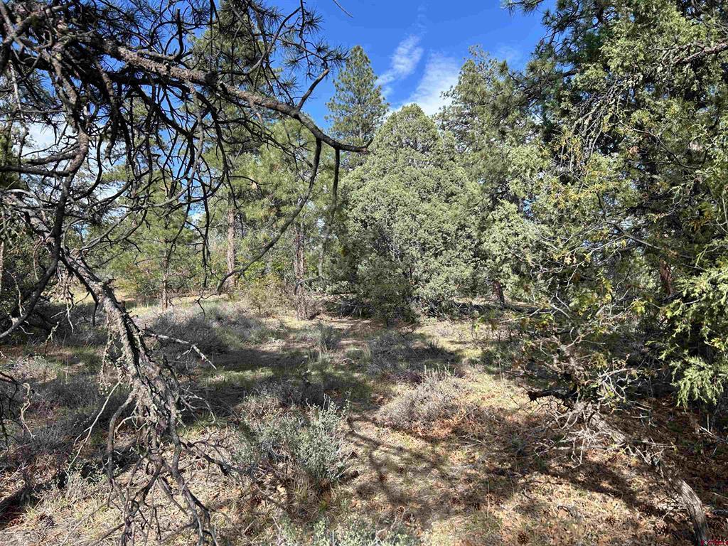 1333 Doc Adams Road