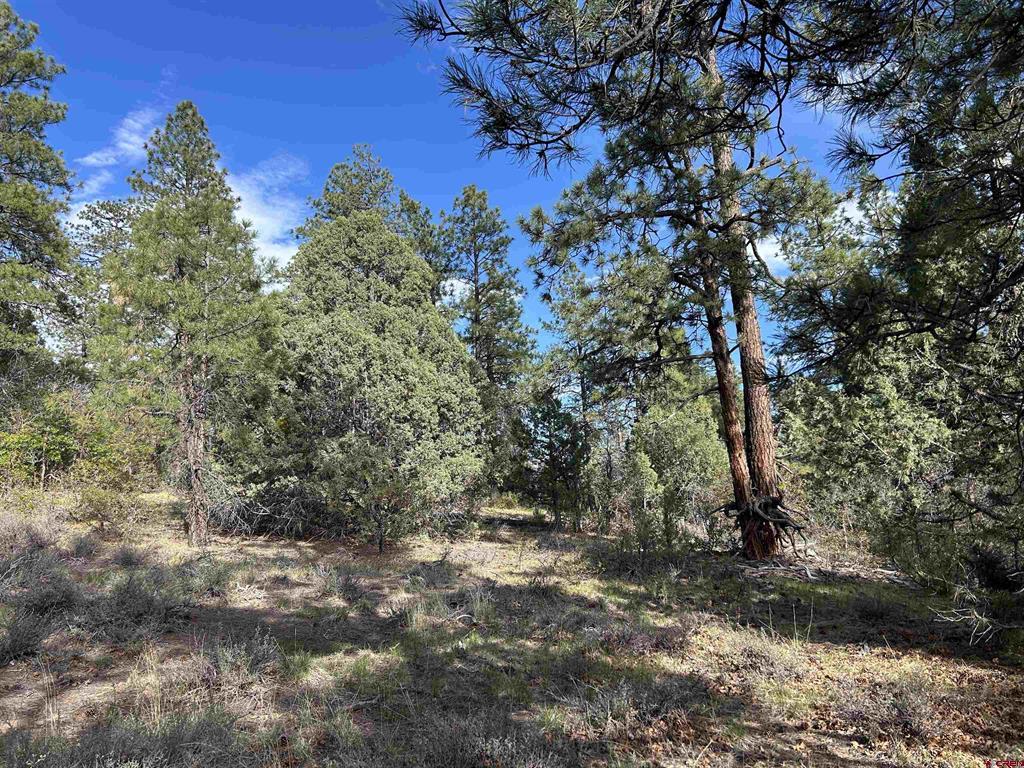 1333 Doc Adams Road