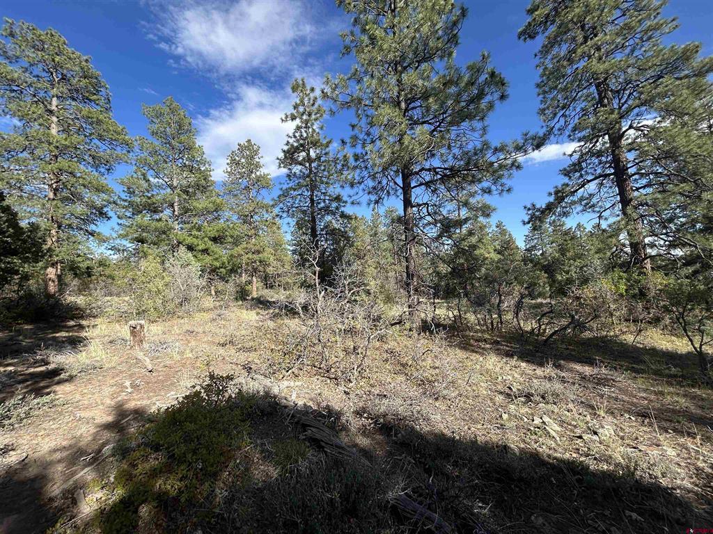 1333 Doc Adams Road