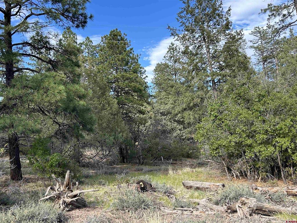 1333 Doc Adams Road