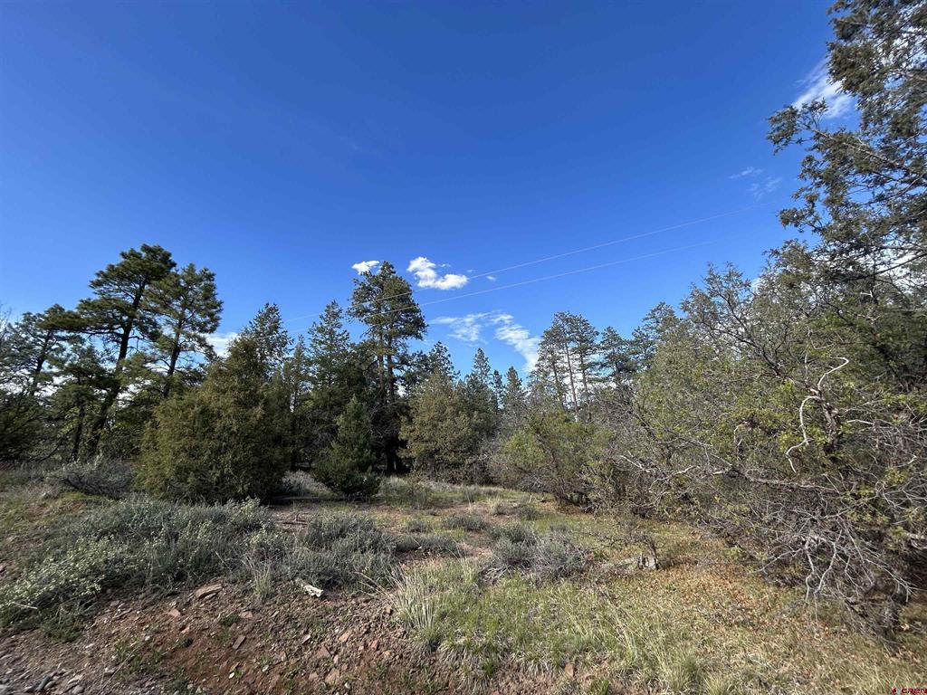 1333 Doc Adams Road