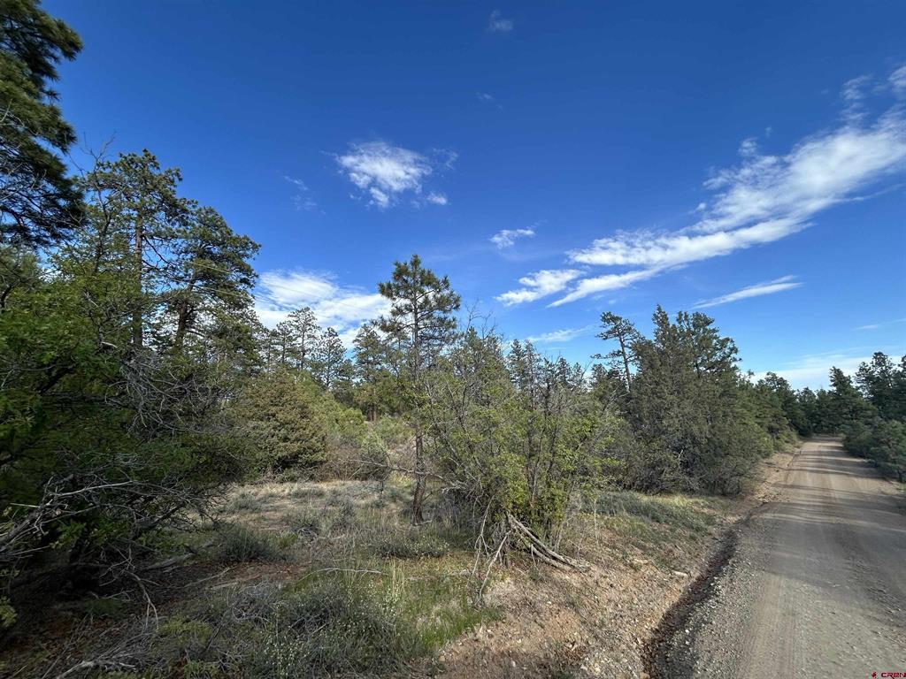 1333 Doc Adams Road
