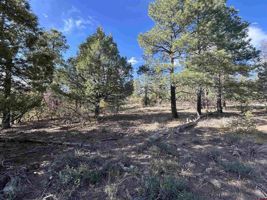 1333 Doc Adams Road