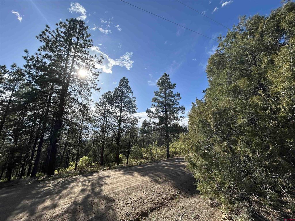 1333 Doc Adams Road