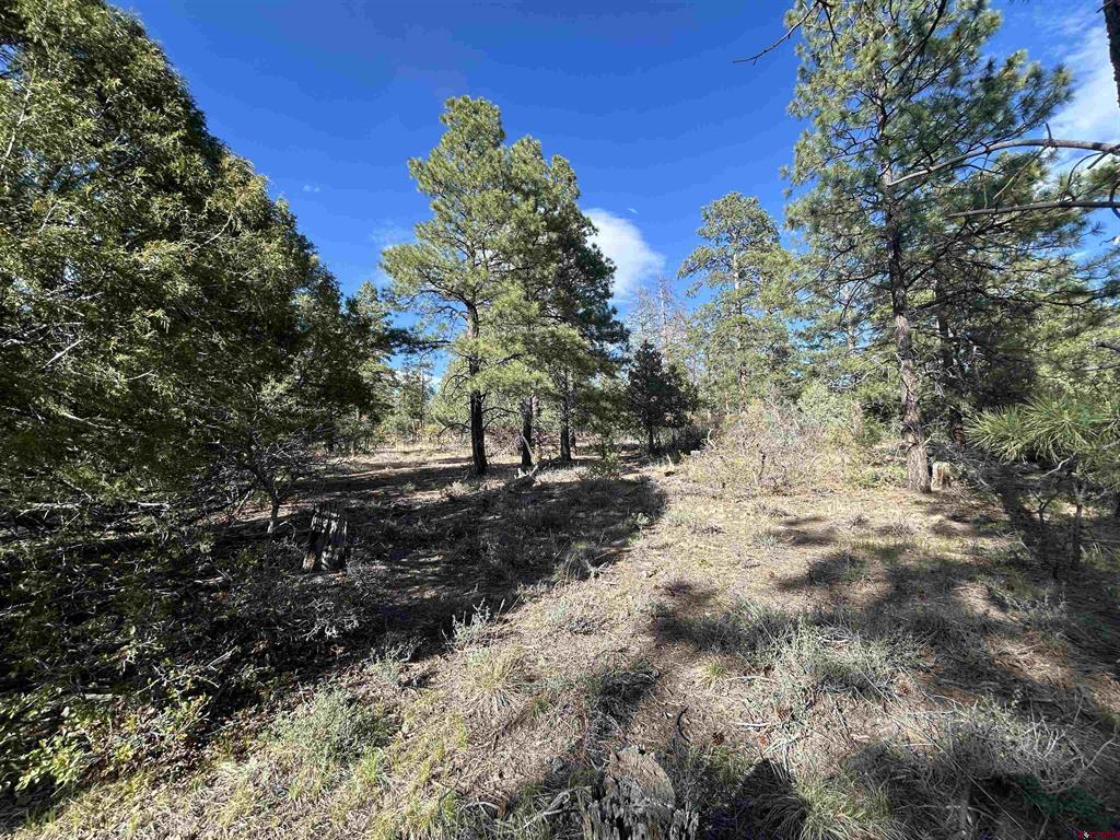 1333 Doc Adams Road