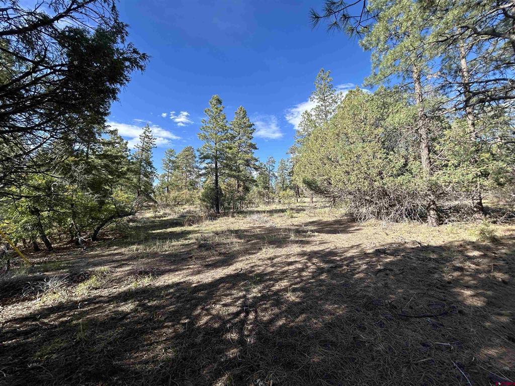 1333 Doc Adams Road