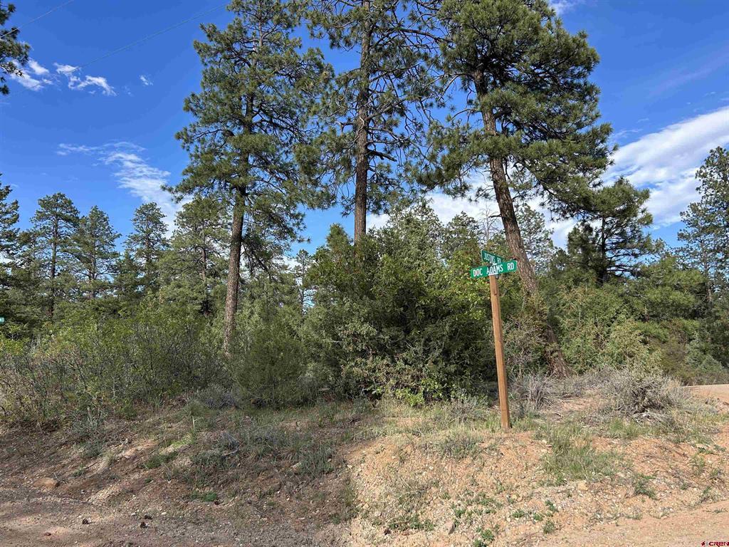 1333 Doc Adams Road