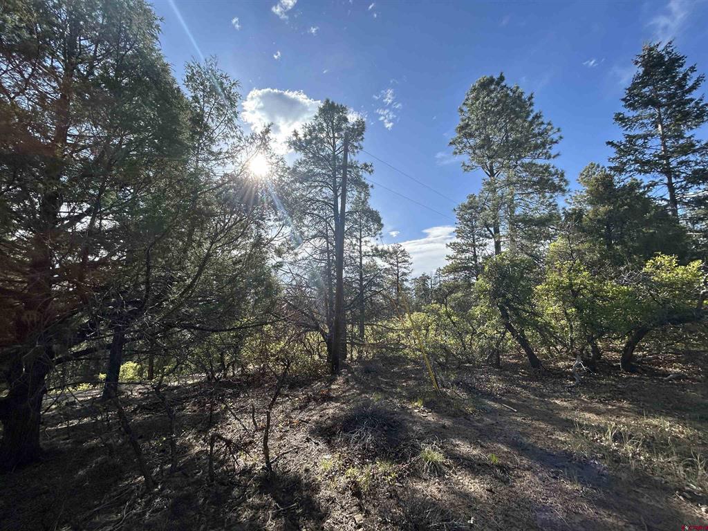 1333 Doc Adams Road