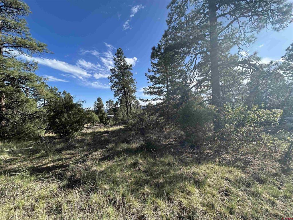 1333 Doc Adams Road
