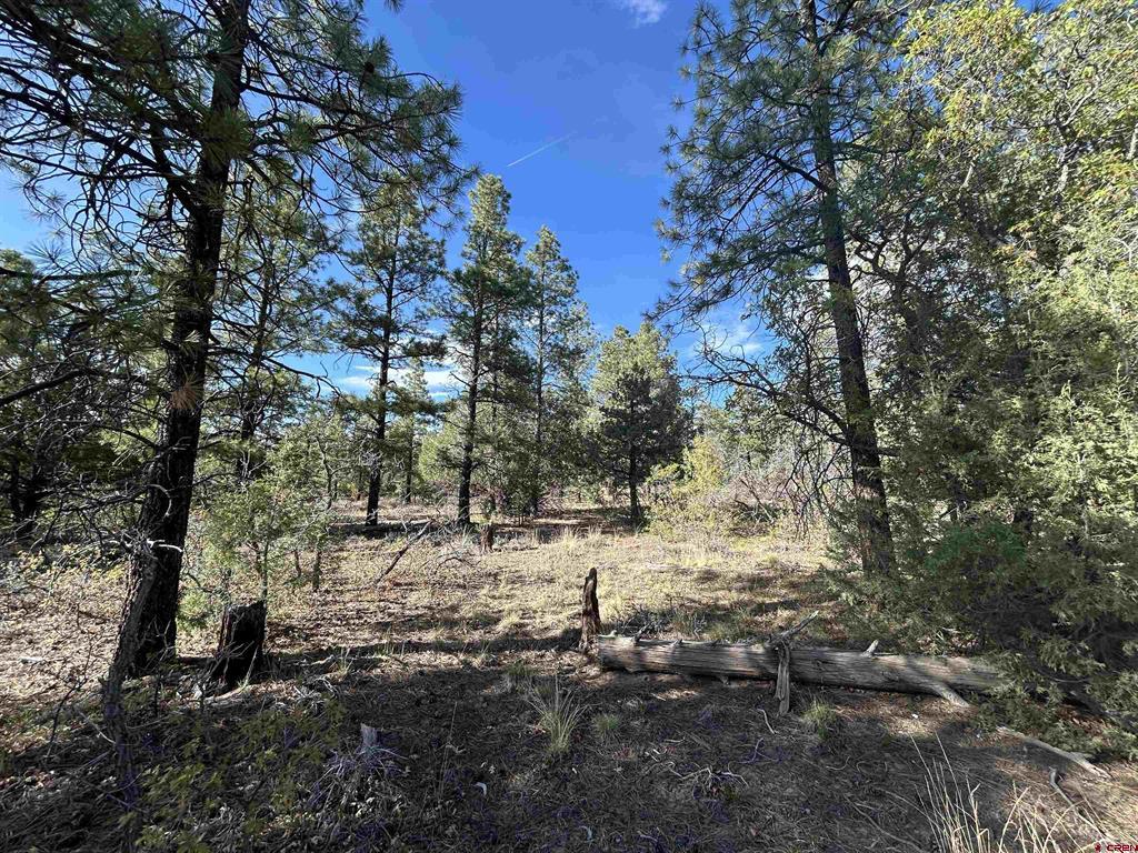 1333 Doc Adams Road