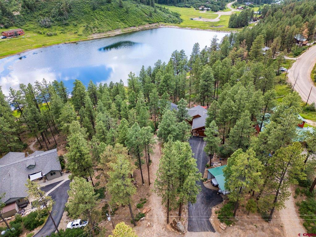 169 Pine Tree Drive