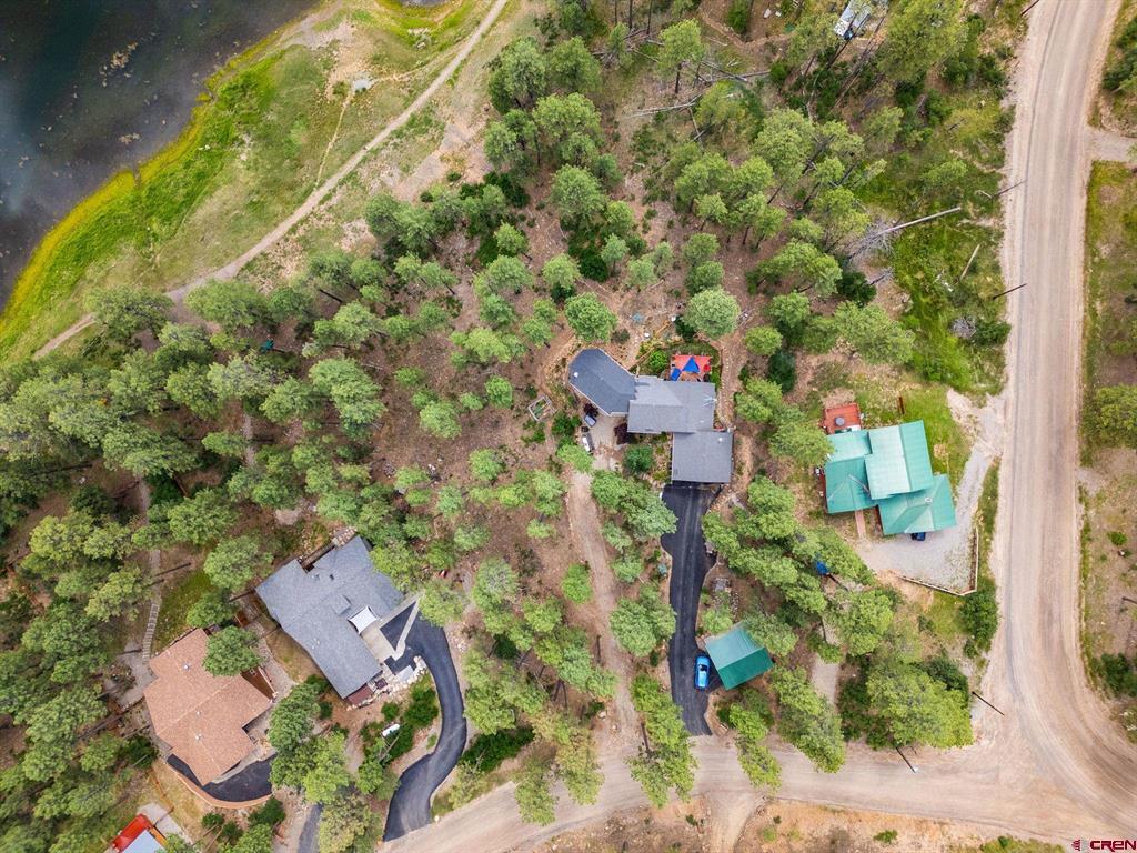 169 Pine Tree Drive