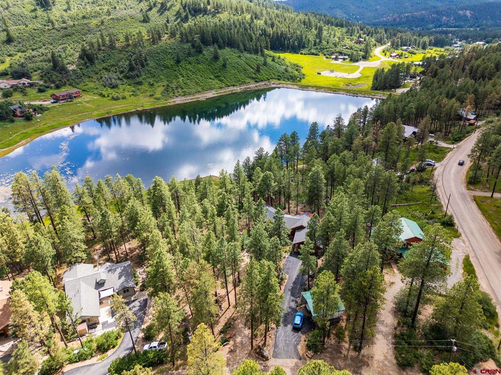 169 Pine Tree Drive