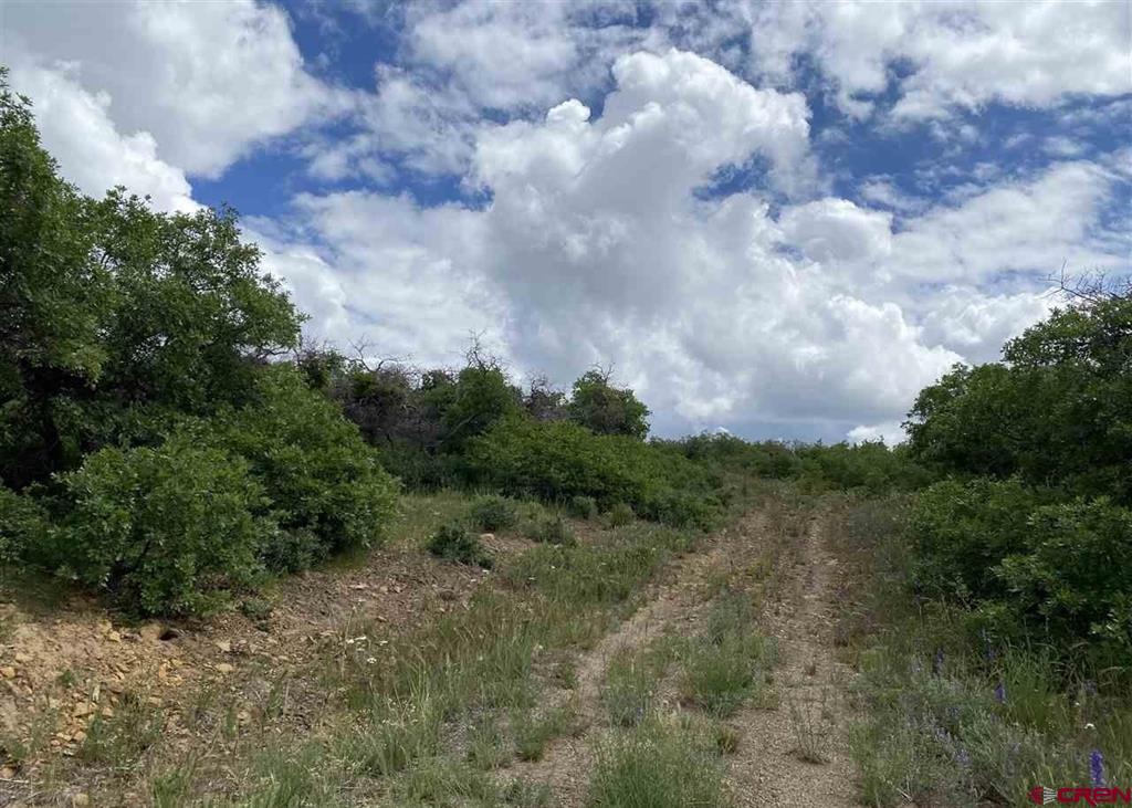 TBD Cross Creek Road